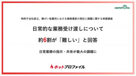 【特例子会社設立、障がい者雇用における実態調査  】