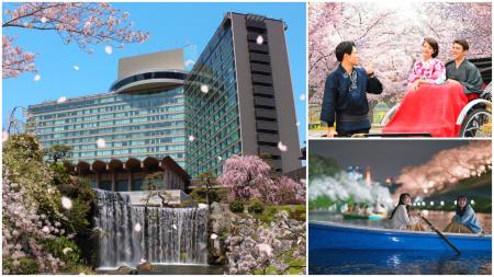 桜に浸る、宿泊者限定の没入体験「桜ツアー」今年も登