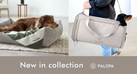 ドイツ発、環境にやさしいドッグアイテムブランド『PA