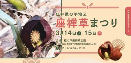 【日本一の星空】長野県阿智村　伍和 原の平座禅草公