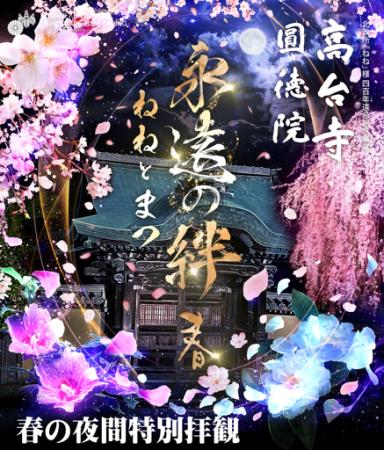 【京都】高台寺 「春の夜間特別拝観」今春のテーマは