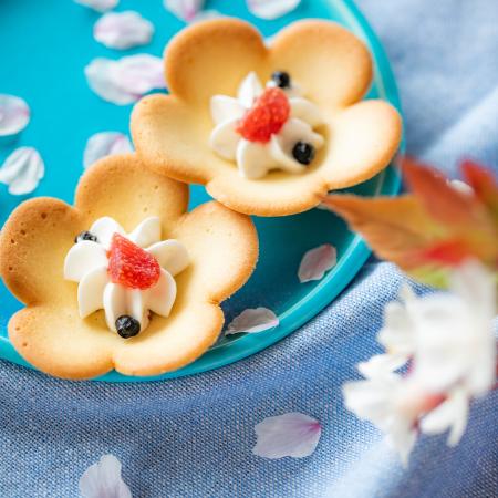 【お花見シーズン到来】桜の下でも、おうちの食卓でも