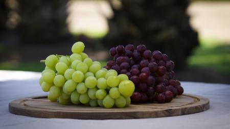 ATGAが「FOODEX JAPAN 2026」に出展 ～品種制限撤廃を