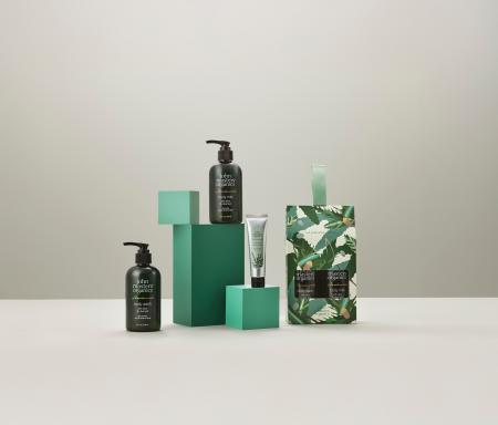 2026.3.12 debut 爽やかな木々の緑、心地よく感じる爽 2026.3.12 debut 爽やかな木々の緑、心地よく感じる爽