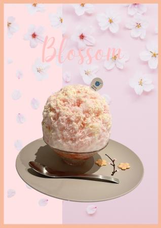 満開の桜を一杯に。春限定かき氷「さくら ～ホワイト