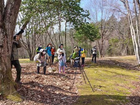 鳥の声に耳を傾け、春を感じる「野鳥観察会（さえずり