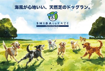 海風が心地いい、天然芝のドッグラン「SHIBA to KAZE 