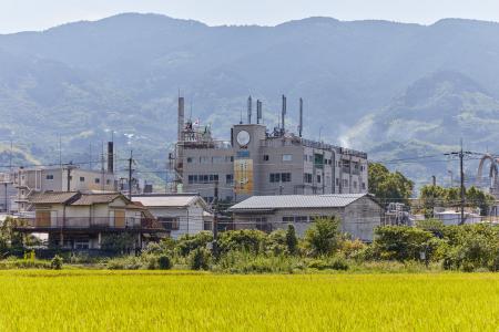 日本農芸化学会2026年度大会 (京都大会)にて「米糠由