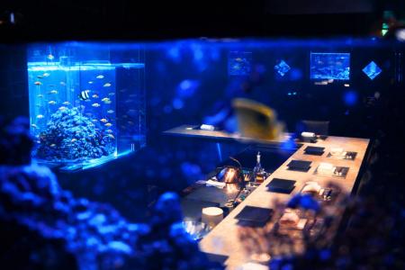 【新しい美食空間】鮨×天麩羅×ステーキ×アクアリウム