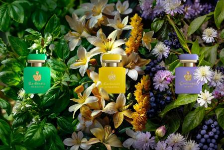 【Carthusia/カルトゥージア】伊・カプリ発 フレグラ 【Carthusia/カルトゥージア】伊・カプリ発 フレグラ