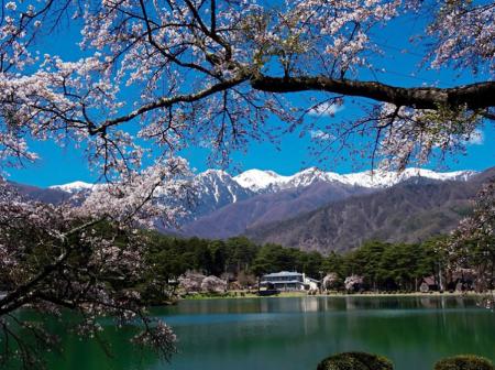 春旅行にはグランピング！アルプスBASEで“春満開”お花