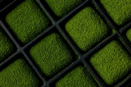 【和多屋別荘限定】嬉野茶農家・副島園の煎茶を使った 【和多屋別荘限定】嬉野茶農家・副島園の煎茶を使った