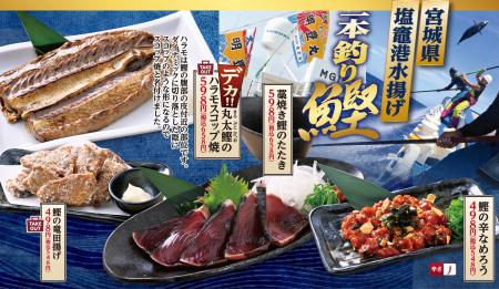 塩竈港水揚げ「一本釣り鰹」の春のおすすめメニューの 塩竈港水揚げ「一本釣り鰹」の春のおすすめメニューの
