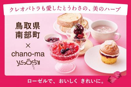 【クレオパトラも愛したとうわさの美のハーブが地域課