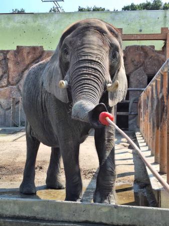 東武動物公園×イオン埼玉久喜農場 SDGs体験utf-8 東武動物公園×イオン埼玉久喜農場 SDGs体験utf-8
