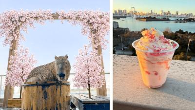 「春の動物お花見フェス開催！」　次世代都市型ふれあ