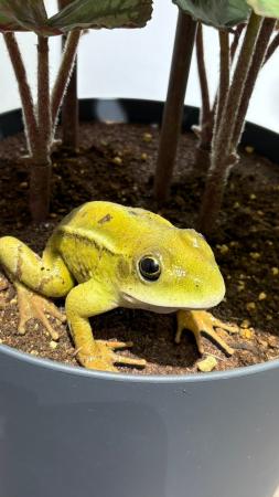 【UESHIMA MUSEUM】ライアン・ガンダー《You Complete 【UESHIMA MUSEUM】ライアン・ガンダー《You Complete