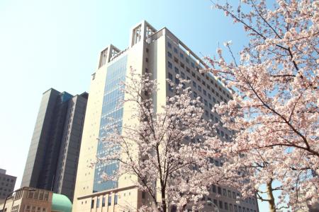 2027年4月より共立女子大学 看護学部に「助産師養成課