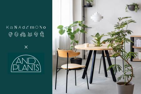 KANADEMONO|部屋に合うグリーンが必ず見つかる。パー KANADEMONO|部屋に合うグリーンが必ず見つかる。パー