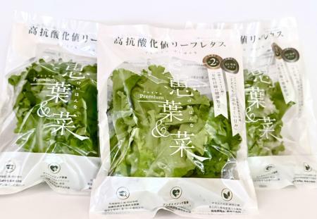 株式会社新井組、FOODEX JAPAN 2026に出展 株式会社新井組、FOODEX JAPAN 2026に出展