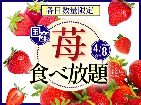【 各日数量限定 ブッフェでいちご狩りを満喫!!】4/8 【 各日数量限定 ブッフェでいちご狩りを満喫!!】4/8