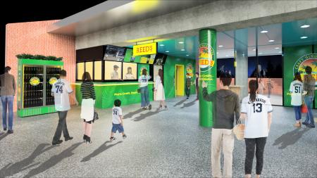 クラフトジンジャードリンク REED’S （リーズ）日本の