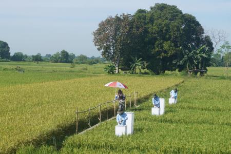 フィリピンにおける水田由来のメタン排出削減に向けた