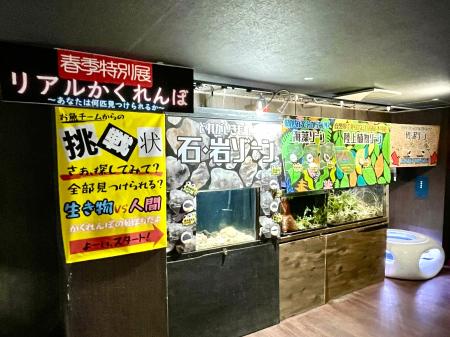 水槽の中で“リアルかくれんぼ”!?擬態する生きものを 水槽の中で“リアルかくれんぼ”!?擬態する生きものを