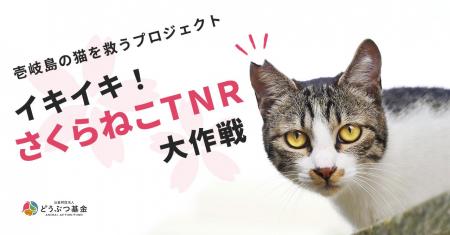 【取材のお願い】壱岐島の猫3,000頭を救うプロジェク
