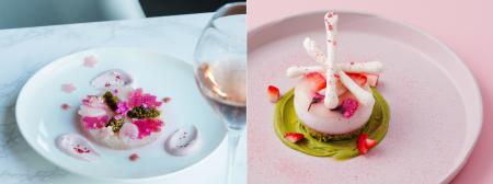 【東京ミッドタウン】桜舞う東京ミッドタウンに、春を 【東京ミッドタウン】桜舞う東京ミッドタウンに、春を