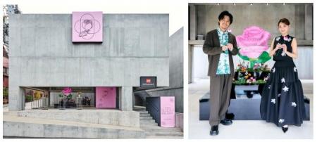 レゴ(R)ブロックで組み立てた巨大なピンクローズも登 レゴ(R)ブロックで組み立てた巨大なピンクローズも登