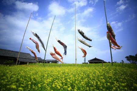 春はポカポカ陽気の小豆島　二十四の瞳映画村
