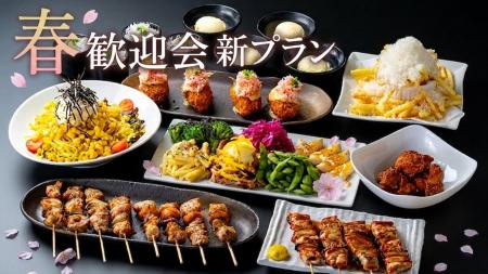 【焼鳥ダイニングいただきコッコちゃん】コスパ最強！