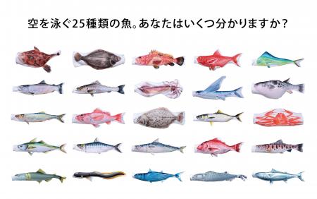 創業79年の鯉のぼりメーカーが空間演出へ立体デutf-8 創業79年の鯉のぼりメーカーが空間演出へ立体デutf-8