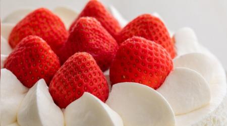 【登別石水亭】入学おめでとうプランのご案内 【登別石水亭】入学おめでとうプランのご案内