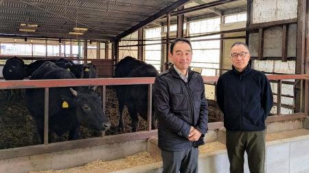 近江牛を厳選飼育する「岡喜牧場」、牛の起立困難予防 近江牛を厳選飼育する「岡喜牧場」、牛の起立困難予防