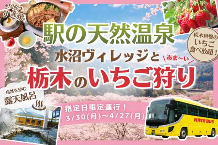 【 春限定 】満開の桜×絶景の天然温泉×いちご狩り！「