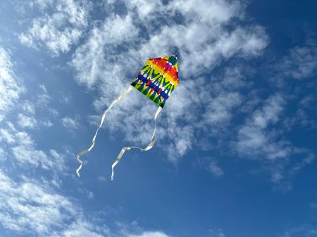 折り染めで作る「凧づくり＆凧揚げ体験」や「養蜂体験