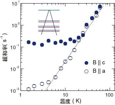 量子化された“相対論的”準粒子を微視的に観測 ― ディ 量子化された“相対論的”準粒子を微視的に観測 ― ディ
