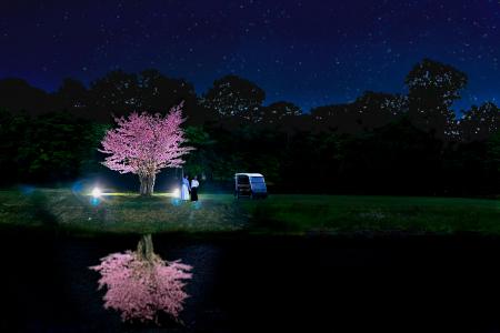 【函館大沼プリンスホテル】夜に見上げる1桜　ゴルフ