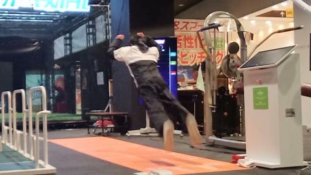 “立ち幅跳び”がデジタルスポーツに進化。体育の未来を “立ち幅跳び”がデジタルスポーツに進化。体育の未来を