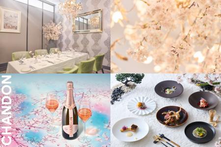 【名古屋】<開業10周年>桜を満喫!「フレンチジャポ 【名古屋】<開業10周年>桜を満喫!「フレンチジャポ