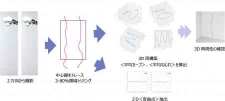 一丸ファルコス、毛髪の三次元形状解析に基づき、うね