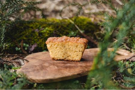 mozo ワンダーシティ「根羽の木のパウンドケーキutf-8