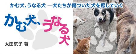 【新刊情報】「坂上どうぶつ王国」のテレビ番組でも話