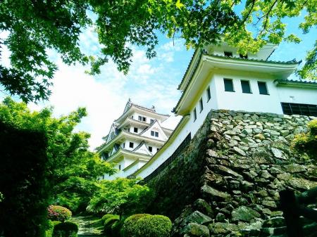 新緑に染まる郡上八幡城が舞台。「積翠城 新緑まつり2