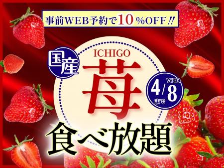 【 ブッフェでいちご狩り!!至福の国産いちご食べ放題!