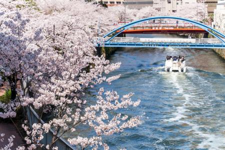 【目黒川お花見クルーズ】予約好調につき緊急増便