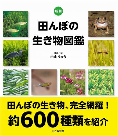 田んぼの生き物を網羅する名著『田んぼの生き物図鑑』