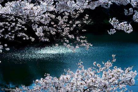 写真家 森川 昇が14年にわたって撮り続けてきた千鳥ヶ